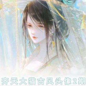 齐天大猫古风头像课第2期，帮助您提高您的绘画技能-风淘社