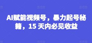 AI赋能视频号，暴力起号秘籍，15 天内必见收益【揭秘】-风淘社