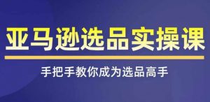 亚马逊选品实操课程,快速掌握亚马逊选品的技巧,覆盖亚马逊选品所有渠道-风淘社