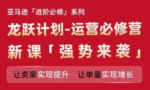亚马逊进阶必修系列,龙跃计划-运营必修营新课,让卖家实现提升 让单量实现增长-风淘社
