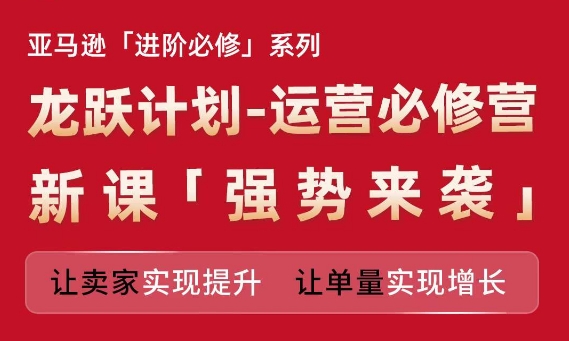 亚马逊进阶必修系列,龙跃计划-运营必修营新课,让卖家实现提升 让单量实现增长-风淘社