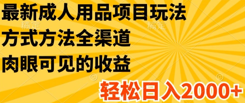 最新成人用品项目玩法，方式方法全渠道，轻松日入2K+【揭秘】-风淘社
