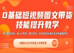 0基础短视频图文带货实操技能提升教学(直播课+视频课),0基础小白3天快速上手做带货-风淘社
