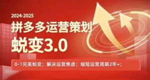 2024-2025拼多多运营策略蜕变3.0,0~1完美蜕变,解决信息焦虑-风淘社