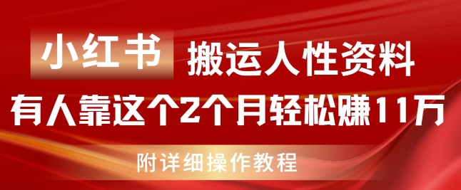 小红书搬运人性资料,有人靠这个2个月轻松赚11w,附教程【揭秘】-风淘社