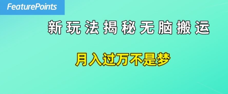简单操作，每天50美元收入，搬运就是赚钱的秘诀【揭秘】-风淘社