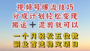 视频号爆流技巧，分成计划轻松变现，搬运 +混剪就可以，一个月轻松五位数稳定项目【揭秘】-风淘社