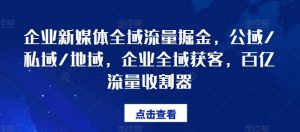 企业新媒体全域流量掘金，公域/私域/地域，企业全域获客，百亿流量收割器-风淘社