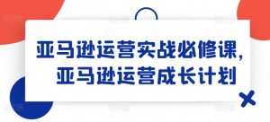 亚马逊运营实战必修课，亚马逊运营成长计划-风淘社