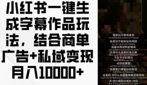 小红书一键生成字幕作品玩法,结合商单广告+私域变现月入1w+【揭秘】-风淘社