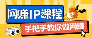ip合伙人打造1.0,从0到1教你做网创,实现月入过万【揭秘】-风淘社