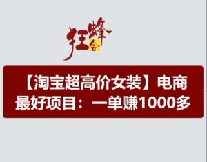 淘宝超高价女装项目,电商最好赛道,一单赚1000多-风淘社
