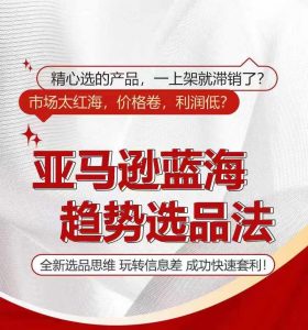 亚马逊蓝海趋势选法,全新选品思维,玩转信息差-风淘社