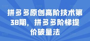 拼多多原创高阶技术第38期,拼多多阶梯提价破量法-风淘社