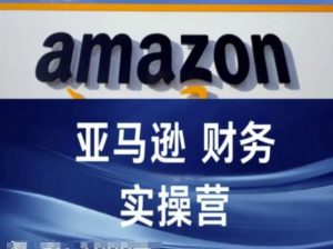 亚马逊财务核算实操营-亚马逊跨境电商教程-风淘社