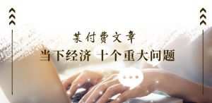 某付费文章《当下经济 十个重大问题》覆盖了大家关心的全部经济类话题-风淘社