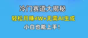 冷门赛道大揭秘,轻松月赚1W+无需AI生成,小白也能上手【揭秘】-风淘社