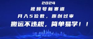2024视频号新赛道,月入5位数+,原创过审,搬运不违规,简单易学【揭秘】-风淘社