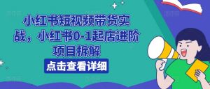 小红书短视频带货实战,小红书0-1起店进阶项目拆解-风淘社