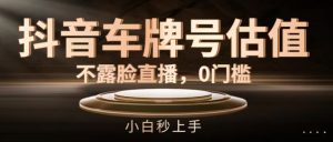 抖音车牌号估值，不露脸直播，0门槛，小白秒上手【揭秘】-风淘社