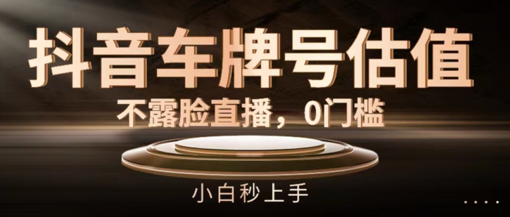 抖音车牌号估值，不露脸直播，0门槛，小白秒上手【揭秘】-风淘社