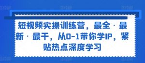 短视频实操训练营,最全·最新·最干,从0-1带你学IP,紧贴热点深度学习-风淘社