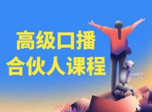 高级口播合伙人课程,百万粉丝博主教您提高口播能力-风淘社