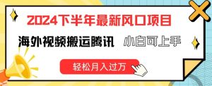2024下半年最新风口项自，海外视频搬运腾讯，小白可上手，轻松月入过万【揭秘】-风淘社