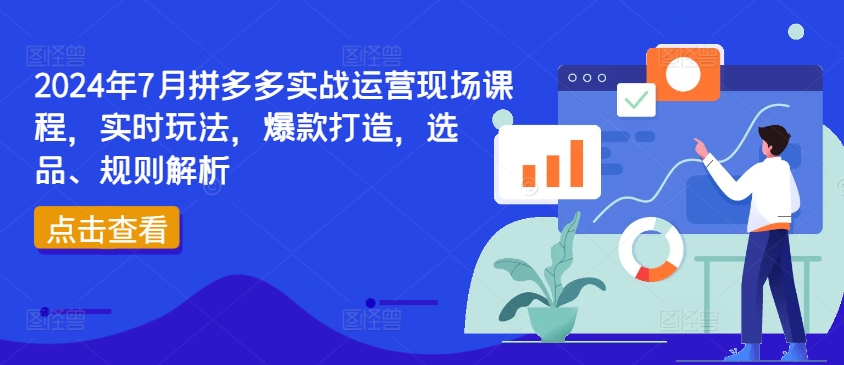 2024年7月拼多多实战运营现场课程，实时玩法，爆款打造，选品、规则解析-风淘社