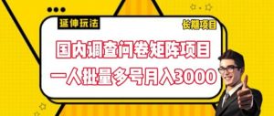 国内调查问卷矩阵项目,一人批量多号月入3000【揭秘】-风淘社