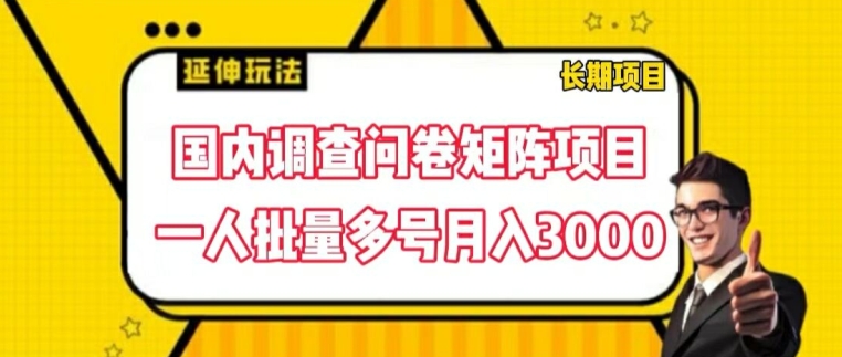 国内调查问卷矩阵项目,一人批量多号月入3000【揭秘】-风淘社
