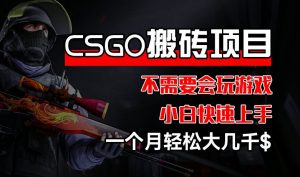 CSGO 装备搬砖项目，操作简单，不需要会玩游戏，小白也能快速上手，一个月轻松大几千【揭秘】-风淘社
