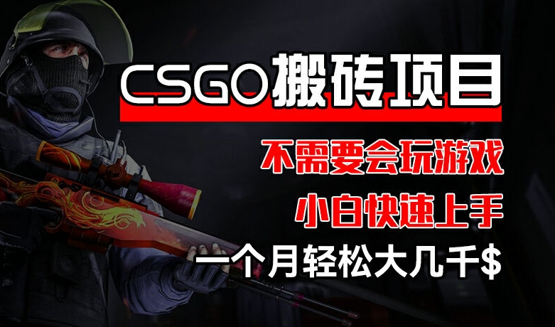 CSGO 装备搬砖项目,操作简单,不需要会玩游戏,小白也能快速上手,一个月轻松大几千【揭秘】-风淘社