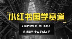 小红书国学赛道，无脑粘贴复制，单日1K，实操演示，小白即刻上手【揭秘】-风淘社
