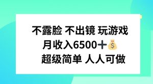 不露脸 不出境 玩游戏，月入6500 超级简单 人人可做【揭秘】-风淘社