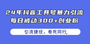 24年抖音工具号暴力引流，每日被动300+创业粉，创业粉捷径，卷死同行【揭秘】-风淘社