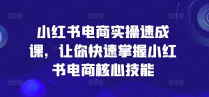 小红书电商实操速成课,让你快速掌握小红书电商核心技能-风淘社
