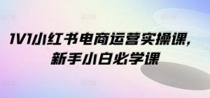 1V1小红书电商运营实操课,新手小白必学课-风淘社