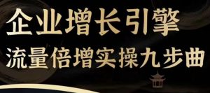 企业增长引擎流量倍增实操九步曲,一套课程帮你找到快速、简单、有效、可复制的获客+变现方式,-风淘社