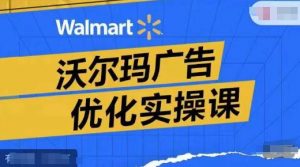 沃尔玛广告优化实操课,广告报告实操讲解,广告如何提高转化和ROAS等-风淘社