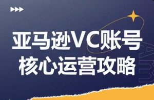 亚马逊VC账号核心玩法解析,实战经验拆解产品模块运营技巧,提升店铺GMV,有效提升运营利润-风淘社