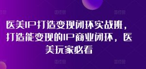 医美IP打造变现闭环实战班,打造能变现的IP商业闭环,医美玩家必看!-风淘社