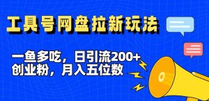 一鱼多吃,日引流200+创业粉,全平台工具号,网盘拉新新玩法月入5位数【揭秘】-风淘社