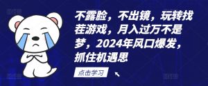 不露脸,不出镜,玩转找茬游戏,月入过万不是梦,2024年风口爆发,抓住机遇【揭秘】-风淘社