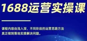 1688实操运营课,零基础学会1688实操运营,电商年入百万不是梦-风淘社
