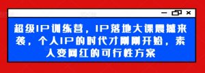 超级IP训练营,IP落地大课震撼来袭,个人IP的时代才刚刚开始,素人变网红的可行性方案-风淘社