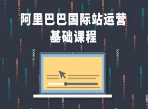 阿里巴巴国际站课程,阿里巴巴国际站运营基础课程-风淘社