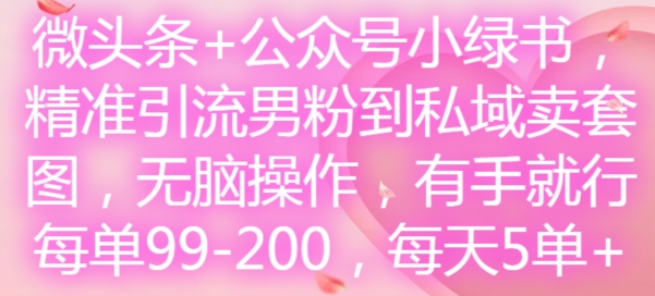 微头条+公众号小绿书,精准引流男粉到私域卖套图,无脑操作,有手就行,每单99-200,每天5单-风淘社