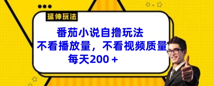 番茄小说自撸玩法,不看播放量,不看视频质量,每天200+【揭秘】-风淘社