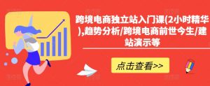 跨境电商独立站入门课(2小时精华),趋势分析/跨境电商前世今生/建站演示等-风淘社